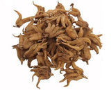 野生手掌參 <br>Palm Ginseng<br><span style="color: #c19674;">預購</span>